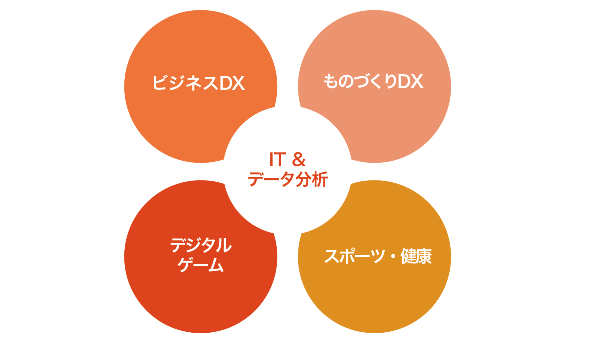 【４つの教育・研究フィールド】